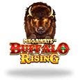 Megaways Buffalo Rising Live Casino House